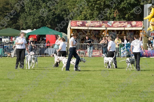 AWC 1027 
 Paws in the Park 2008 at The Hop Farm, Paddock Wood, Kent, organised by MDS Ltd 
 Keywords: 2008, paddock wood, paws in the park, september