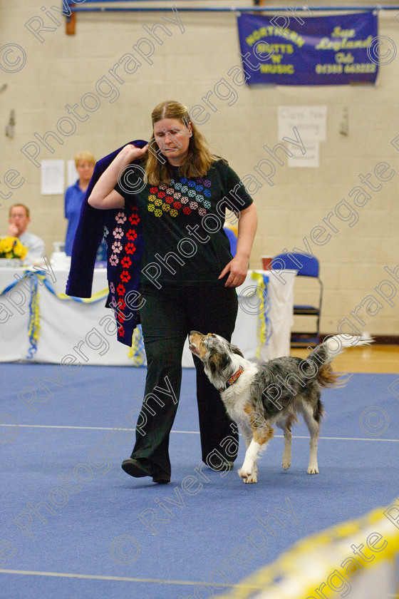 AWC 6117 
 Keywords: 2009, Advanced Heelwork to Music, Barnard Castle, Border Collier, County Durham, Crufts Semi-final Qualifier, DL12 8DS, Helen Taylor, May, Northern Mutts N Music, Royal Canin, Strathmore Road, Teesdale Sports Centre, Wirling Wobbler, canine freestyle, competition, heelwork to music