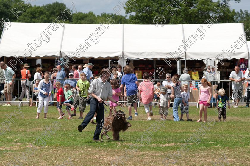 AWC 5092 
 Keywords: 2010, Ardingly, Demonstration, Richard Curtis, Smallholders Show, july, k9freestyle arena display