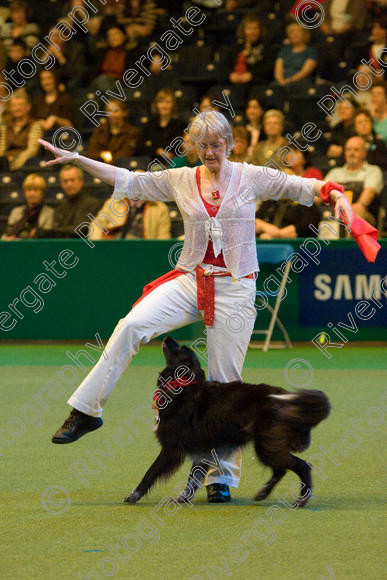 IMG 7405 
 Keywords: 2008, Arena, Display, NEC, birmingham, canine freestyle, crufts, dancing, dogs, heelwork to music, htm, march, nicky joyce, performance