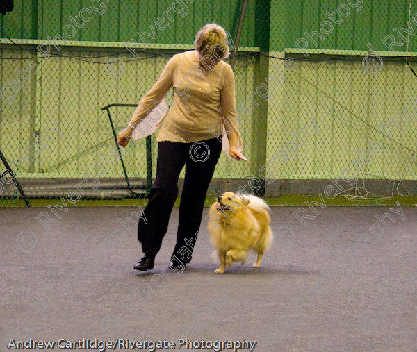 IMG 0078-Edit 
 Heelwork to Music and Canine Freestyle events and competition in 2005 held at the Connexion Leisure Centre, Ryton-on-Dunsmore, Coventry. 
 Keywords: 2005, June, UK, competition, coventry, dog, dog dancing, dog sport, gina pink, heelwork to music, k9freestyle, ryton on dunsmore