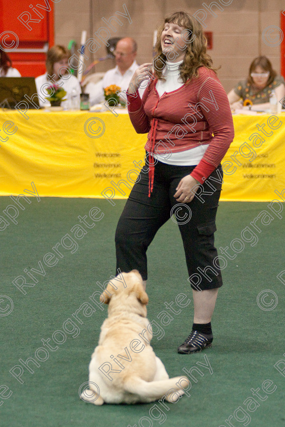 AWC 3879 
 Keywords: 2009, England, UK, Worcester, Worcestershire, april, competition, heelwork to music, louise ince, westglen