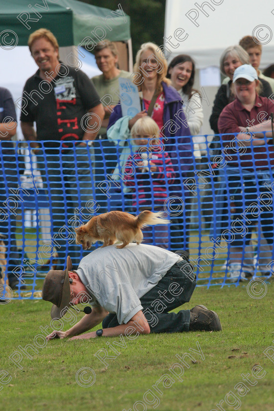 AWC 7156 
 Keywords: 2010, Chobham, Millbrook Animal Centre, RSPCA, Richard Curtis, arena demonstration, september