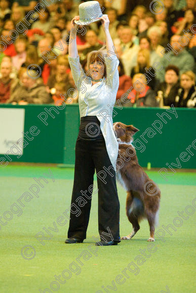 IMG 7572 
 Keywords: 2008, Arena, Display, NEC, birmingham, canine freestyle, crufts, dancing, dogs, heelwork to music, htm, march, performance