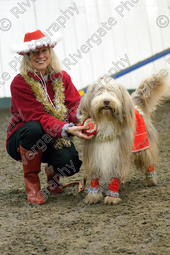 AWC 8143 
 Keywords: 2009, Fancy Dress, Xmas Party, december, dogs, wellow agility club