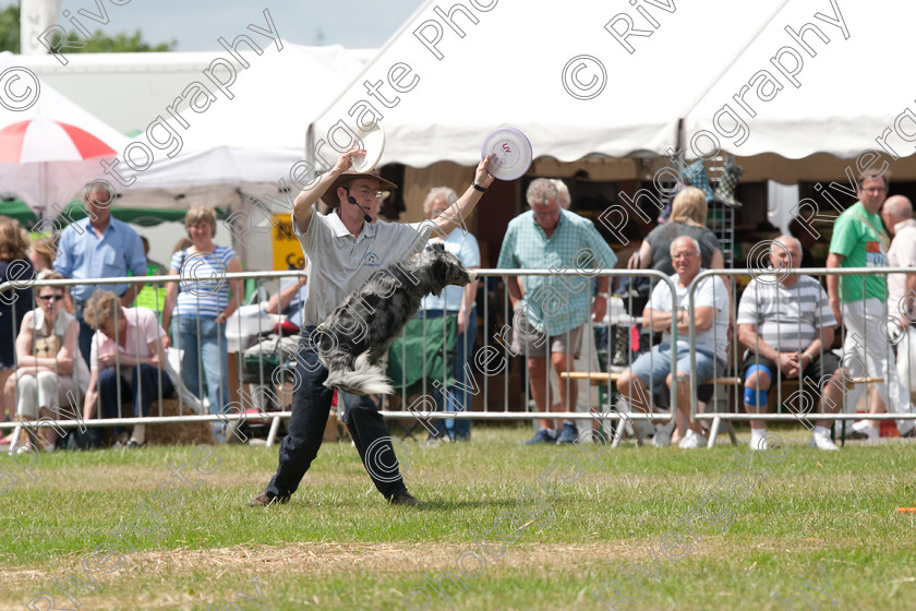 AWC 5135 
 Keywords: 2010, Ardingly, Demonstration, Richard Curtis, Smallholders Show, july, k9freestyle arena display