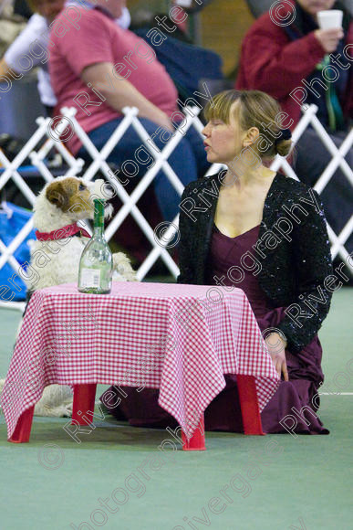 IMG 6798 
 Keywords: 2008, K9 Freestyle, Rugby DTC, canine freestyle, competition, connexions leisure centre, coventry, dancing dogs, february, heelwork to music, k9freestylegb, ryton on dunsmore