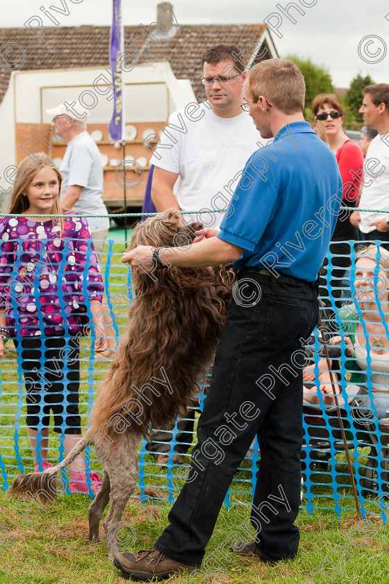 AWC 1550 
 Wanborough Country Show, August 2009, Richard Curtis' K9freestyle Dancing Dog Arena Display 
 Keywords: 2009, arena demonstration, arena display, august, canine freestyle, dog dancing, dog display, England, heelwork to music, k9freestyle, Lynch Field, Lynch Field, Wanborough, Wiltshire, England, UK, richard curtis, UK, wanborough country show, Wanborough, Wiltshire