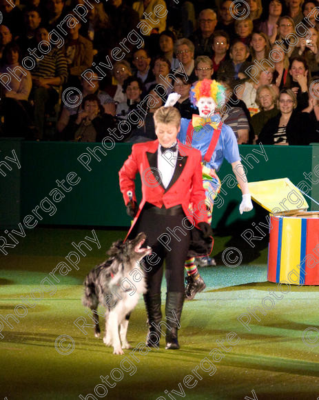 IMG 8200 
 Keywords: 2008, Arena, Display, NEC, birmingham, canine freestyle, crufts, dancing, dogs, heelwork to music, htm, march, performance