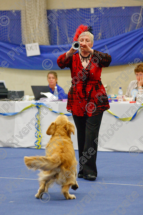 AWC 6588 
 Keywords: 2009, Barnard Castle, Class 6a, County Durham, DL12 8DS, Judges: Penny Draper, May, Northern Mutts N Music, Novice Freestyle, Richard Curtis, Royal Canin, Strathmore Road, Teesdale Sports Centre, annette lowe, canine freestyle, competition, heelwork to music