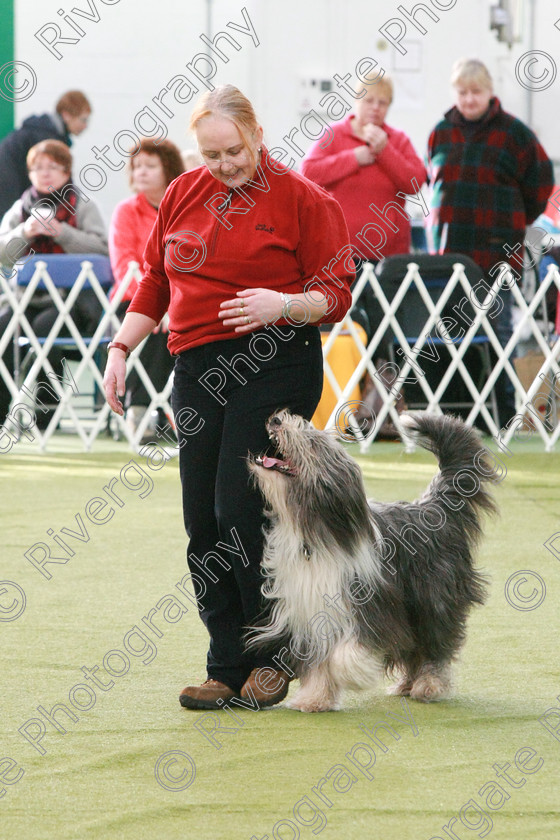 AWC 0528 
 Keywords: heelwork to music competition, rugby dog club