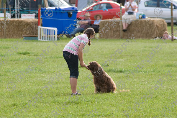 IMG 9378 
 Eye Country Show 2007. Richard Curtis arena display and demonstration. 
 Keywords: 2007, England, Eye, Eye Fayre, Goodrich Park, Palgrave, Suffolk, UK, august, eye country show