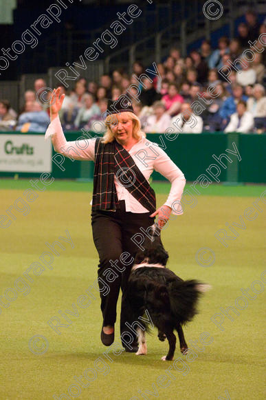 IMG 7345 
 Keywords: 2008, Arena, BC, Display, Kinaway Doctor Watson, NEC, birmingham, border collie, canine freestyle, carole dodson, crufts, dancing, dogs, heelwork to music, htm, march, performance