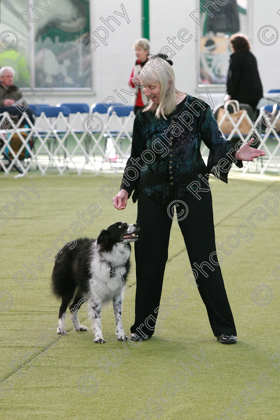 AWC 0543 
 Keywords: heelwork to music competition, rugby dog club