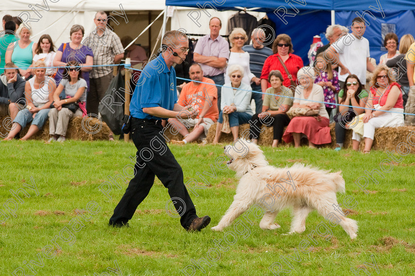 AWC 1359 
 Wanborough Country Show, August 2009, Richard Curtis' K9freestyle Dancing Dog Arena Display 
 Keywords: 2009, arena demonstration, arena display, august, canine freestyle, dog dancing, dog display, England, heelwork to music, k9freestyle, Lynch Field, Lynch Field, Wanborough, Wiltshire, England, UK, richard curtis, UK, wanborough country show, Wanborough, Wiltshire