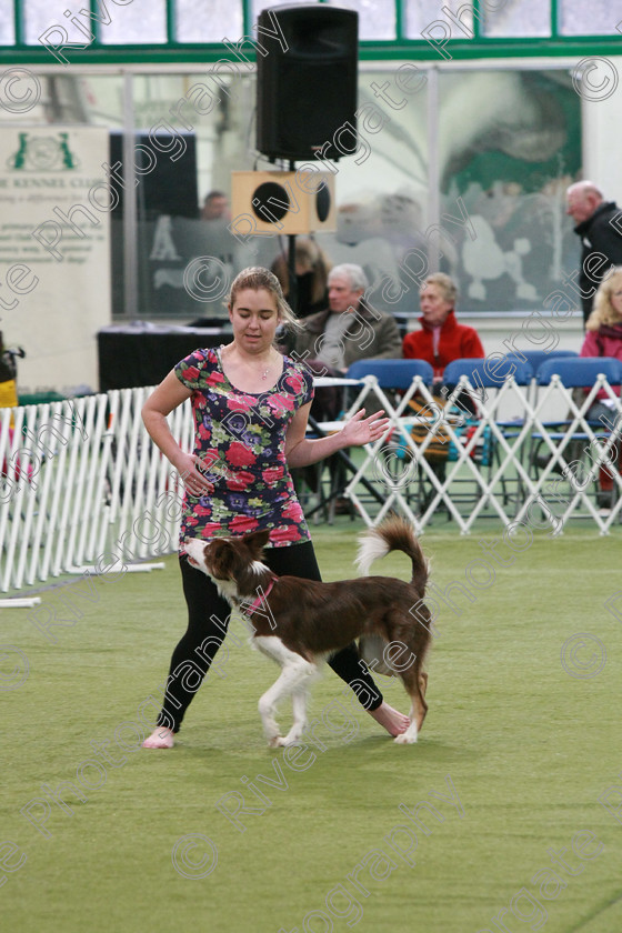 AWC 0283 
 Keywords: Nicci Hindson, heelwork to music competition, rugby dog club