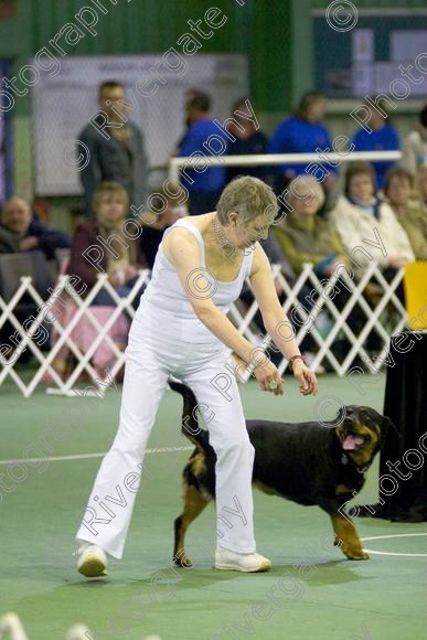 IMG 5796 
 Keywords: 2008, K9 Freestyle, Rugby DTC, canine freestyle, competition, connexions leisure centre, coventry, dancing dogs, february, heelwork to music, , ryton on dunsmore