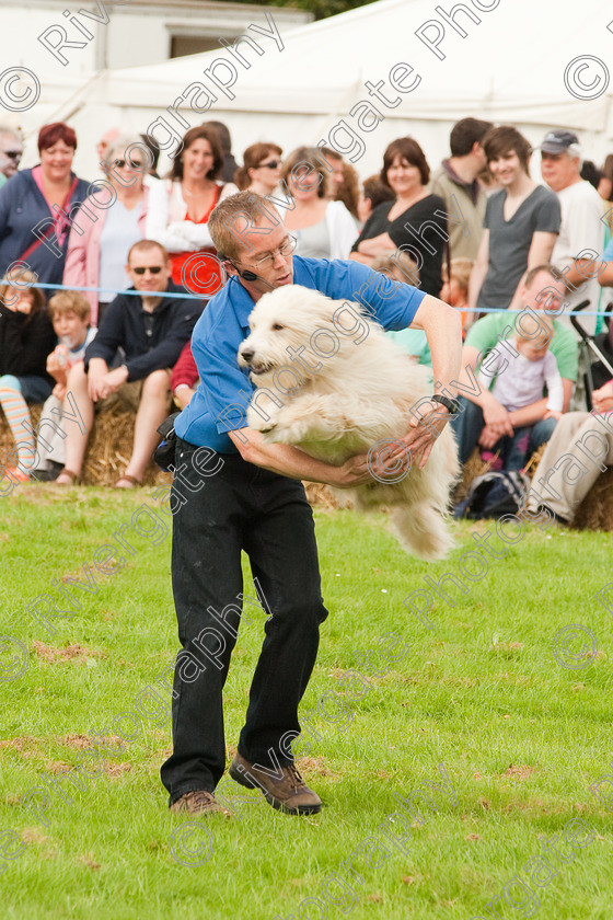 AWC 1380 
 Wanborough Country Show, August 2009, Richard Curtis' K9freestyle Dancing Dog Arena Display 
 Keywords: 2009, arena demonstration, arena display, august, canine freestyle, dog dancing, dog display, England, heelwork to music, k9freestyle, Lynch Field, Lynch Field, Wanborough, Wiltshire, England, UK, richard curtis, UK, wanborough country show, Wanborough, Wiltshire