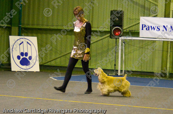 IMG 0124 
 Heelwork to Music and Canine Freestyle events and competition in 2005 held at the Connexion Leisure Centre, Ryton-on-Dunsmore, Coventry. 
 Keywords: 2005, June, UK, competition, coventry, dog, dog dancing, dog sport, heelwork to music, k9freestyle, ryton on dunsmore