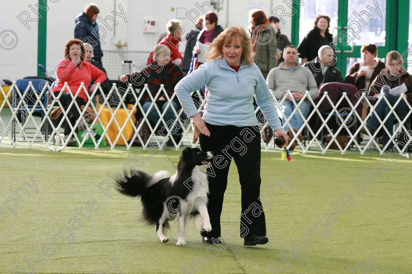 AWC 0535 
 Keywords: heelwork to music competition, rugby dog club