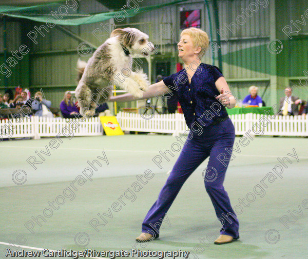 IMG 0985 
 Heelwork to Music and Canine Freestyle events and competition in 2005 held at the Connexion Leisure Centre, Ryton-on-Dunsmore, Coventry. 
 Keywords: 2005, UK, cath hardman, competition, coventry, dog, dog dancing, dog sport, february, heelwork to music, k9freestyle, ryton on dunsmore