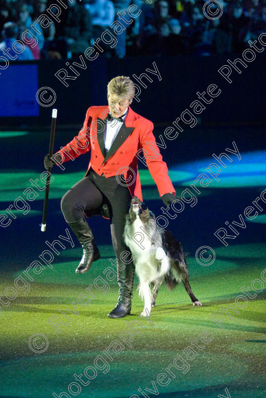 IMG 8181 
 Keywords: 2008, Arena, Display, NEC, birmingham, canine freestyle, crufts, dancing, dogs, heelwork to music, htm, march, performance