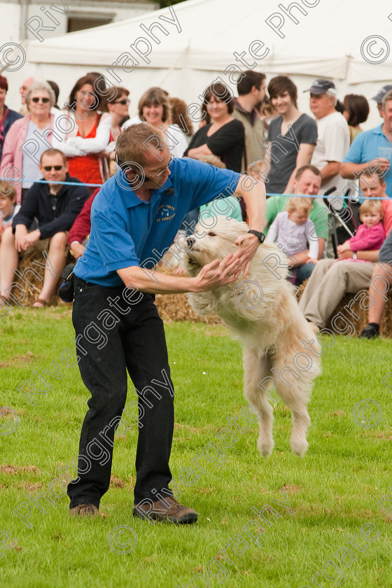 AWC 1379 
 Wanborough Country Show, August 2009, Richard Curtis' K9freestyle Dancing Dog Arena Display 
 Keywords: 2009, arena demonstration, arena display, august, canine freestyle, dog dancing, dog display, England, heelwork to music, k9freestyle, Lynch Field, Lynch Field, Wanborough, Wiltshire, England, UK, richard curtis, UK, wanborough country show, Wanborough, Wiltshire