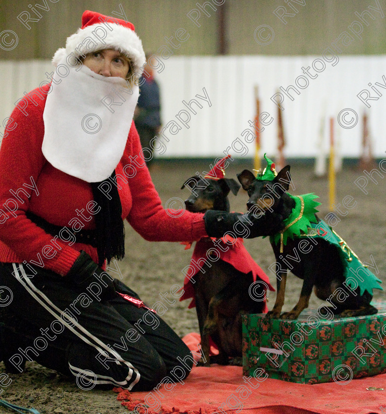 AWC 8116 
 Keywords: 2009, Fancy Dress, Xmas Party, december, dogs, wellow agility club