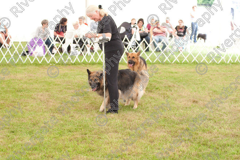 AWC 8973 
 Keywords: 2009, England, June, MDS Ltd, Paws in the Park, UK, broadlands, hampshire, heelwork to music competition, paws n music, romsey