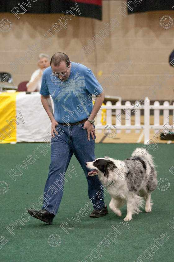 AWC 3880 
 Keywords: 2009, England, UK, Worcester, Worcestershire, april, competition, heelwork to music, mark collins, westglen