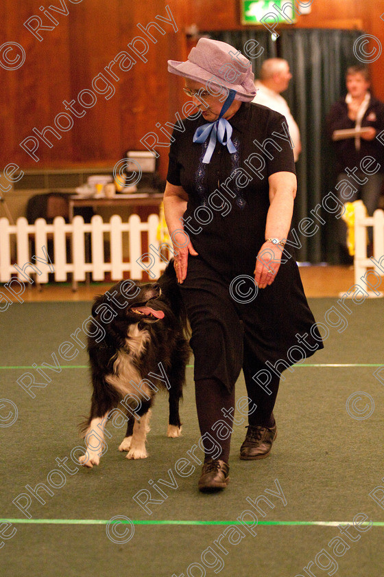 AWC 2207 
 Keywords: 2010, april, competition, heelwork to music, novice heelwork to music part 1, pat sidaway, west glen