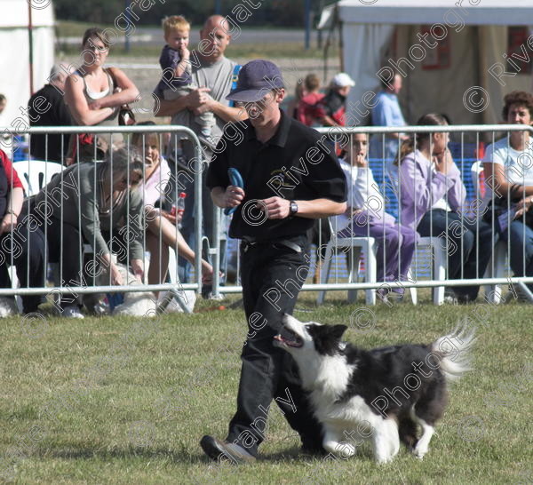 IMG 0086-01 
 Paws in the Park, 2005 MDS Shows Ltd Canford Park Arena, Poole, Dorset.