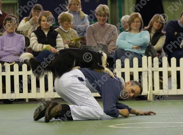 IMG 0118 
 Heelwork to Music and Canine Freestyle events and competition in 2006 held at the Connexion Leisure Centre, Ryton-on-Dunsmore, Coventry. 
 Keywords: 2006, UK, competition, coventry, dog, dog dancing, dog sport, february, heelwork to music, k9freestyle, ryton on dunsmore