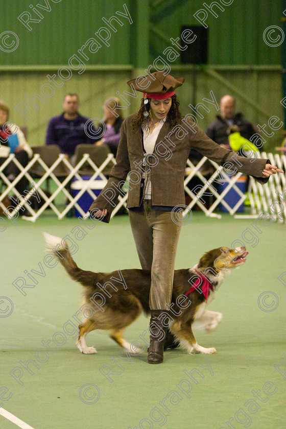 IMG 6346 
 Keywords: 2008, K9 Freestyle, Rugby DTC, canine freestyle, competition, connexions leisure centre, coventry, dancing dogs, february, heelwork to music, k9freestylegb, ryton on dunsmore