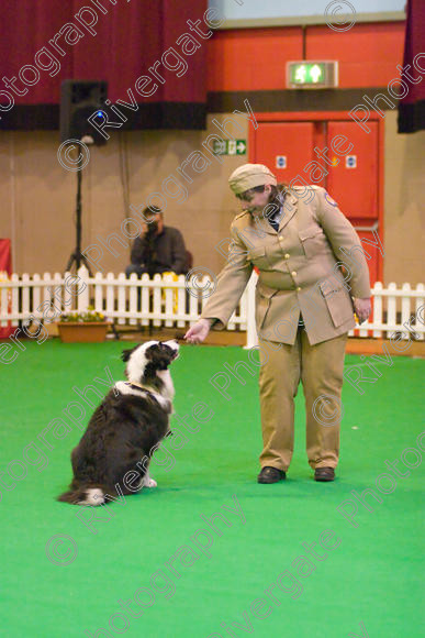 IMG 8622 
 Heelwork to Music and Canine Freestyle Competitions held at Westglen in April 2008 
 Keywords: 2008, Bilford Road, Perdiswell Leisure Centre, WR3 8DX, Worcester, april, competition, heelwork to music, westglen, jackie de jong, advanced, htm