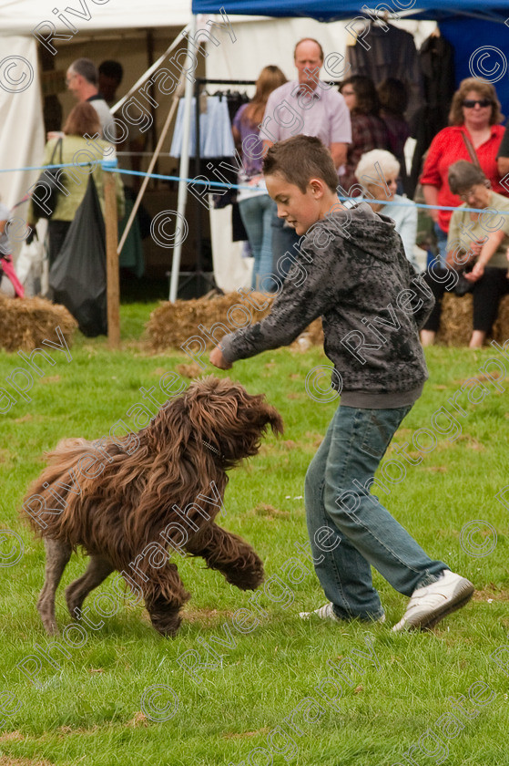 AWC 1429 
 Wanborough Country Show, August 2009, Richard Curtis' K9freestyle Dancing Dog Arena Display 
 Keywords: 2009, arena demonstration, arena display, august, canine freestyle, dog dancing, dog display, England, heelwork to music, k9freestyle, Lynch Field, Lynch Field, Wanborough, Wiltshire, England, UK, richard curtis, UK, wanborough country show, Wanborough, Wiltshire