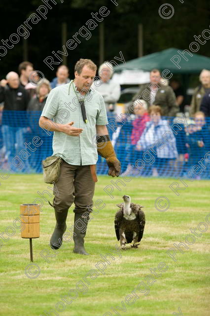 AWC 0076 
 RSPCA Milbrook, Chobham, Woking, 2005, arena demonstrations and displays, charity 
 Keywords: Ruppell's Griffon Vulture, chris o'donnell, dyson, hawk experience, millbrook, woking