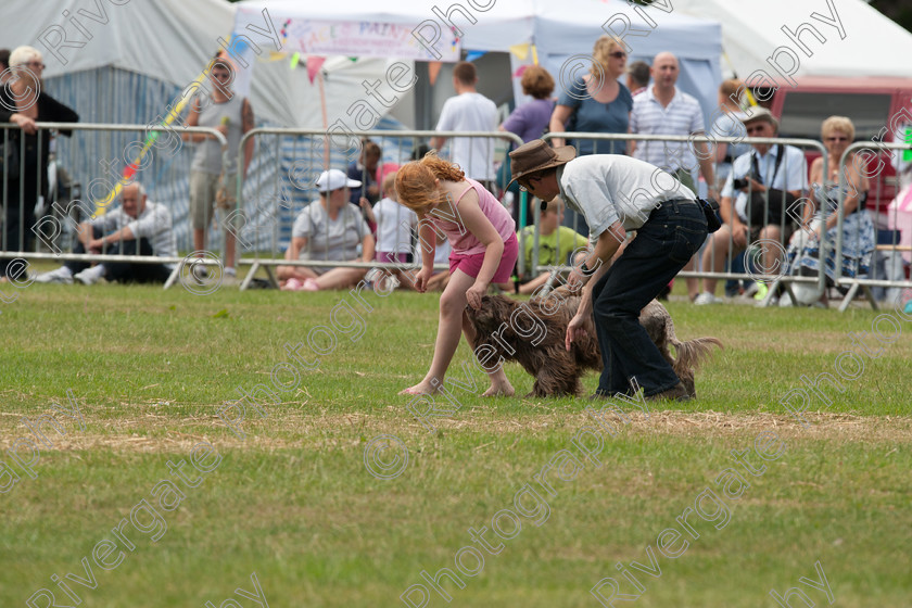 AWC 5116 
 Keywords: 2010, Ardingly, Demonstration, Richard Curtis, Smallholders Show, july, k9freestyle arena display