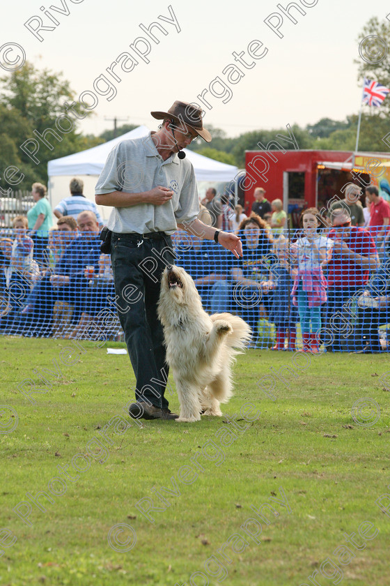 AWC 6976 
 Keywords: 2010, Chobham, Millbrook Animal Centre, RSPCA, Richard Curtis, arena demonstration, september