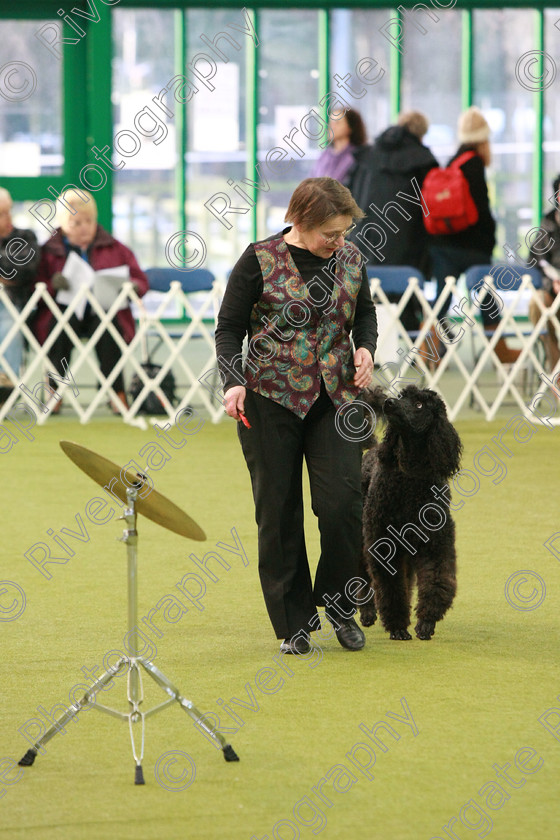 AWC 0249 
 Keywords: heelwork to music competition, rugby dog club