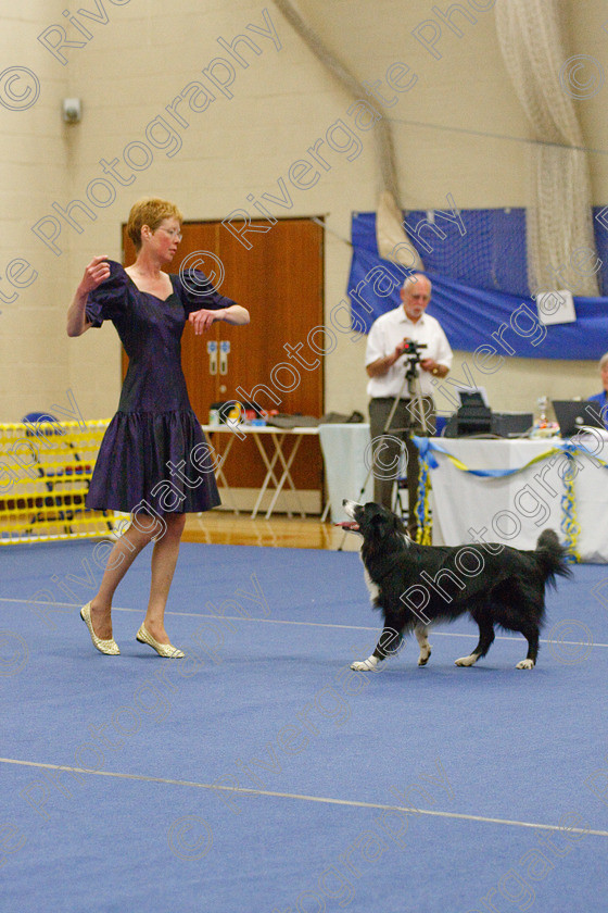 AWC 6119 
 Keywords: 2009, Advanced Heelwork to Music, Barnard Castle, Cathy Bates, County Durham, Crufts Semi-final Qualifier, DL12 8DS, May, Northern Mutts N Music, Royal Canin, Rusnsol Ruby, Strathmore Road, Teesdale Sports Centre, canine freestyle, competition, heelwork to music, working sheepdog