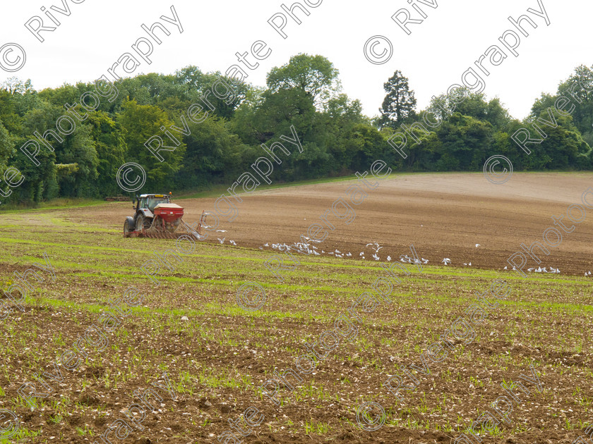 IMG 3703 
 Keywords: A32, field, scenery, seeding, tractor, west meon, farming, agriculture, uk, england, field, trees, green, scene, landscape, country, farm, nature, britain, environment, countryside, scenery, planting, wildlife, wild, scenic, growing, seed, harvest, hampshire, downs, outdoors, woodland, farmers