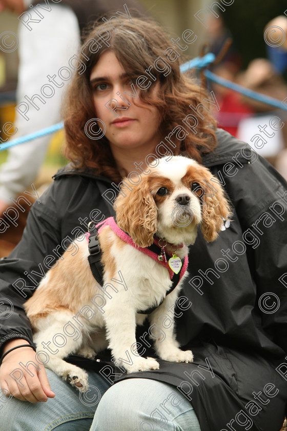 AWC 7614 
 Keywords: ANIMAL HEALTH TRUST, Gala Day, KENTFORD, Lanwades Park, Newmarket, Suffolk, spectators