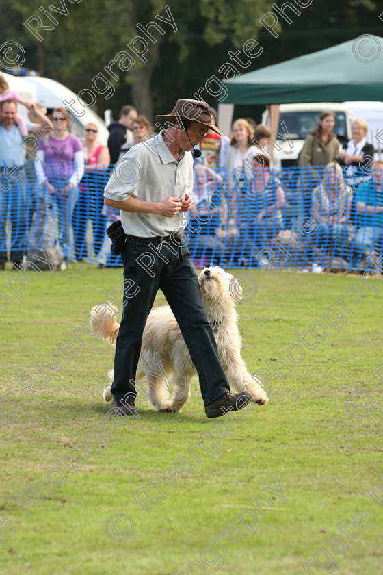 AWC 7012 
 Keywords: 2010, Chobham, Millbrook Animal Centre, RSPCA, Richard Curtis, arena demonstration, september