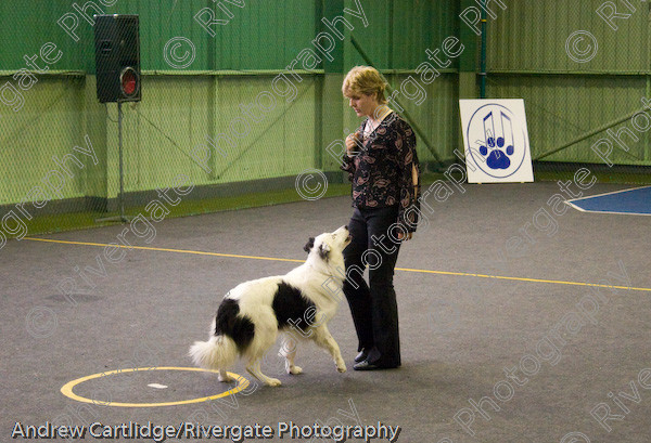 IMG 0153 
 Heelwork to Music and Canine Freestyle events and competition in 2005 held at the Connexion Leisure Centre, Ryton-on-Dunsmore, Coventry. 
 Keywords: 2005, June, UK, competition, coventry, dog, dog dancing, dog sport, gina pink, heelwork to music, k9freestyle, ryton on dunsmore