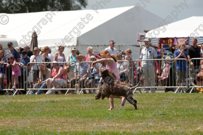 AWC 5108 
 Keywords: 2010, Ardingly, Demonstration, Richard Curtis, Smallholders Show, july, k9freestyle arena display