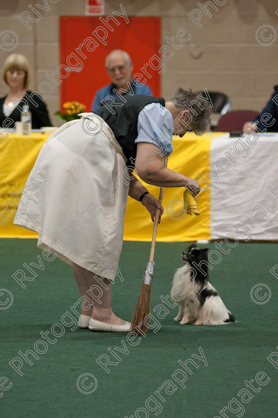 AWC 4045 
 Keywords: 2009, England, Jeanette Fyfe, UK, Worcester, Worcestershire, april, competition, heelwork to music, westglen