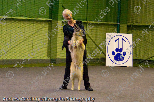 IMG 0087-Edit 
 Heelwork to Music and Canine Freestyle events and competition in 2005 held at the Connexion Leisure Centre, Ryton-on-Dunsmore, Coventry. 
 Keywords: 2005, June, UK, competition, coventry, dog, dog dancing, dog sport, heelwork to music, k9freestyle, ryton on dunsmore