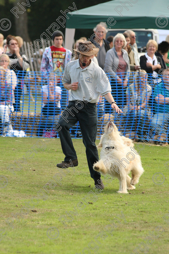 AWC 7043 
 Keywords: 2010, Chobham, Millbrook Animal Centre, RSPCA, Richard Curtis, arena demonstration, september