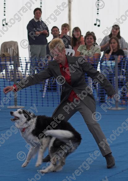 IMG 0017-01 
 Paws in the Park, 2005 MDS Shows Ltd Canford Park Arena, Poole, Dorset. 
 Keywords: 2005, Display, Paws in the Park, arena demonstration, dogs, richard curtis, september